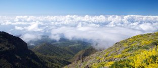 La Palma