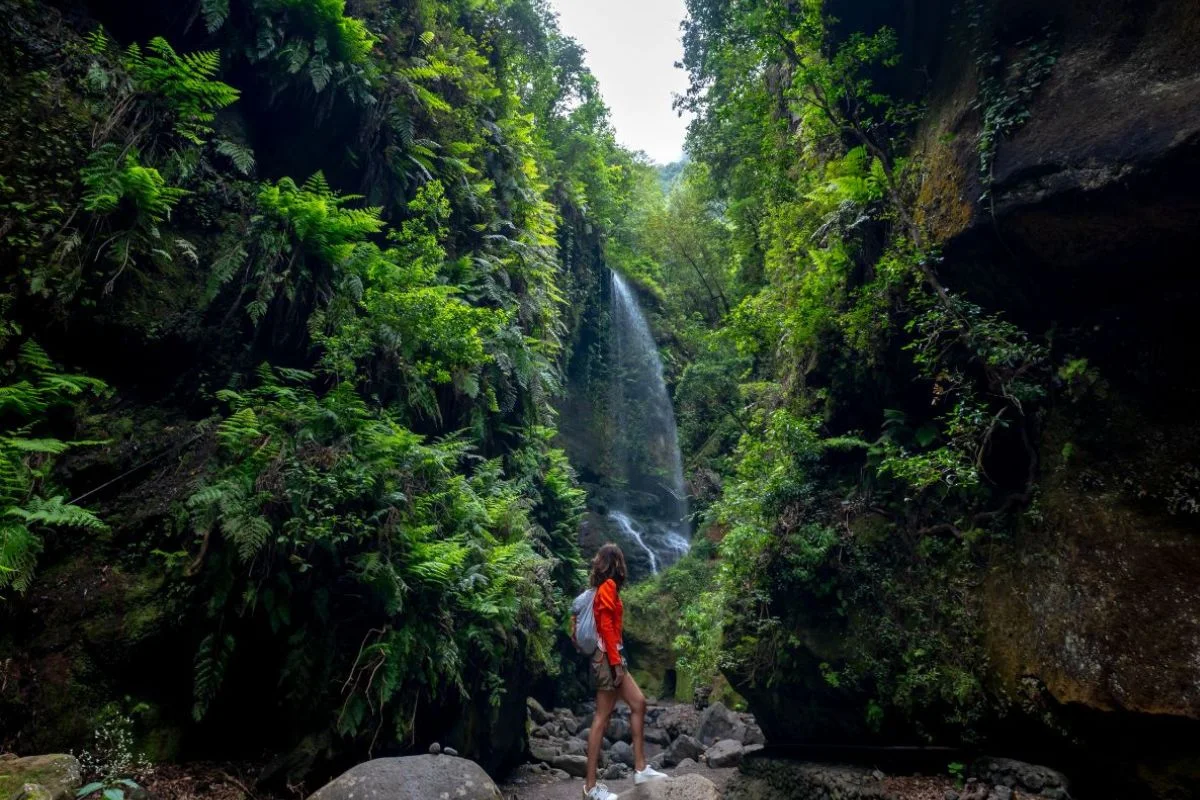 Tenerife - La Palma