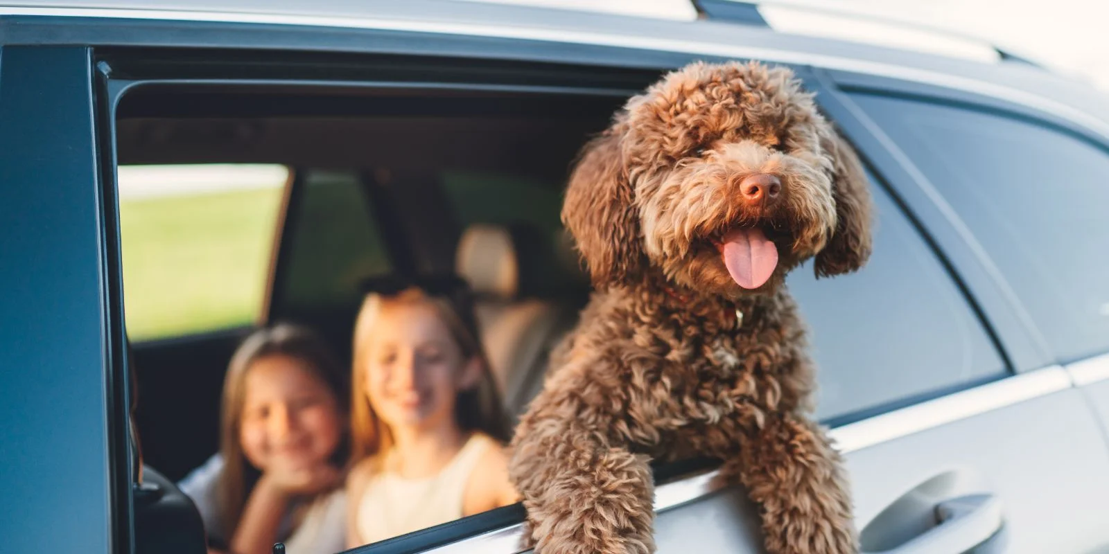 perro-coche-familia-pc.webp