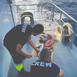 17/10/2021 - Comida a bordo - pinches