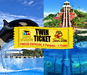 Twin Ticket