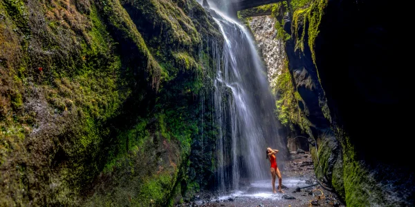 Los Tilos: Naturaleza y Senderos en La Palma