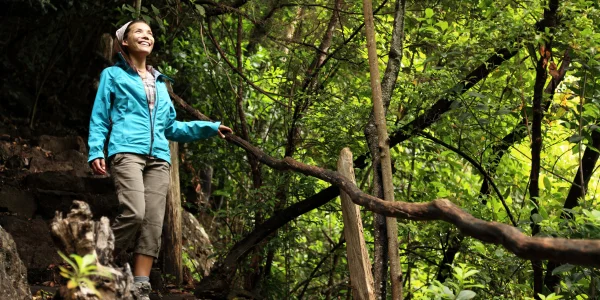 Los Tilos: Naturaleza y Senderos en La Palma
