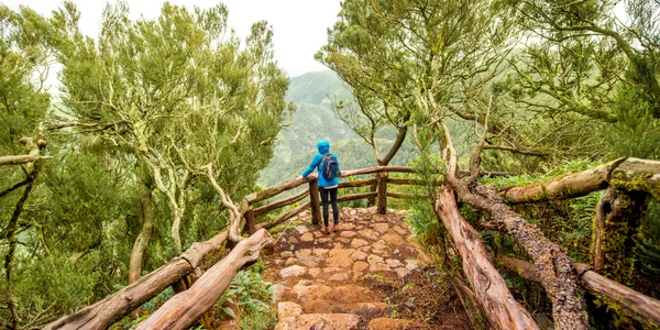 Sendero con una persona asomada a un mirador en el Parque Nacional de Garajonay en La Gomera