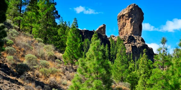 Roque Nublo: el símbolo natural de Gran Canaria