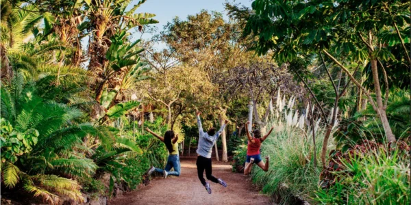 Oasis Wildlife en Fuerteventura: naturaleza y fauna en Canarias