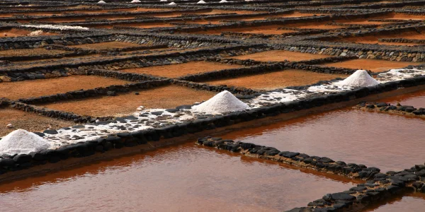 Salinas de Fuerteventura: tradición y paisaje en Canarias