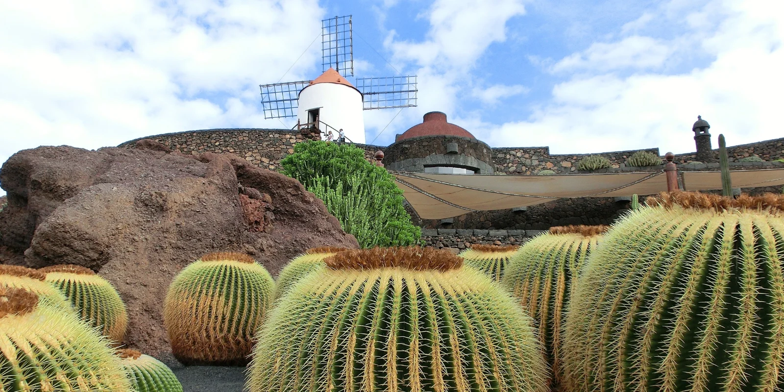 Jardín de Cactus con molino de viento al fondo, en Lanzarote