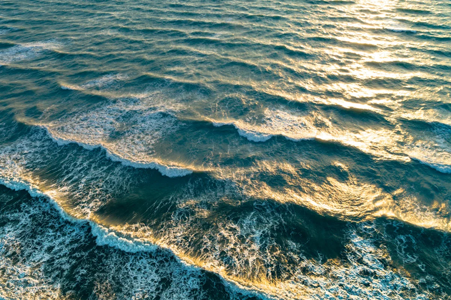 Transporte entre Islas Canarias: cómo moverte en el archipiélago - Fred. Olsen Express