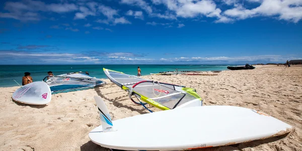 Tablas y velas de windsurf en playa de Fuerteventura
