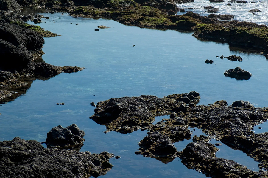 Mejores Piscinas de Tenerife. Fred. Olsen Express