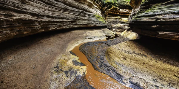 Fondo del Barranco del Infierno en Tenerife