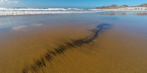 Playa de Las Canteras con arena dorada y mar tranquilo en Las Palmas de Gran Canaria