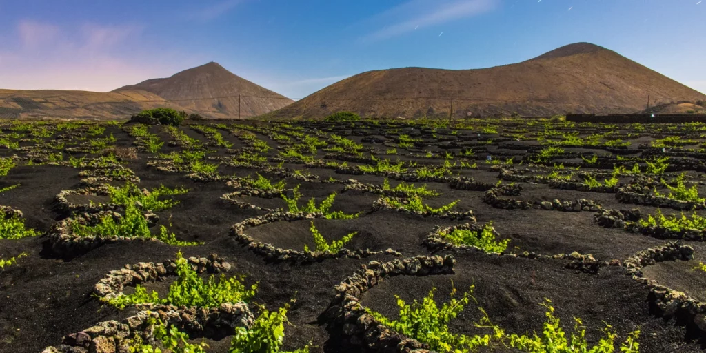 Viñedos de La Geria en Lanzarote con paisaje volcánico y cultivo de uvas