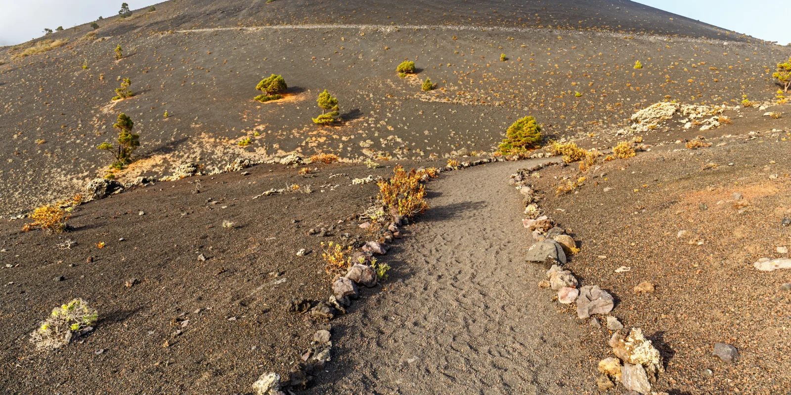 Sendero en La Palma que transcurre entre volcanes