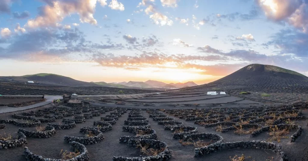 Viñedos en La Geria, paisaje volcánico único en Lanzarote
