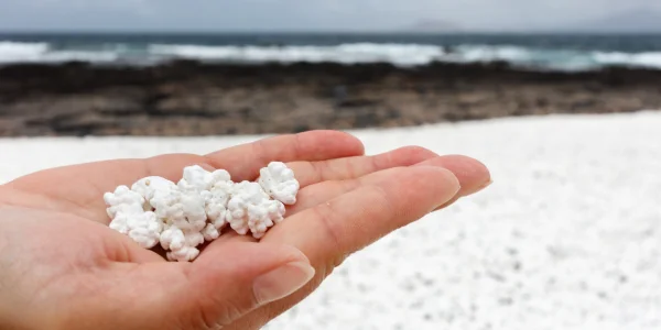 Playa de Las Palomitas en Corralejo con arena blanca y piedras con forma de palomitas