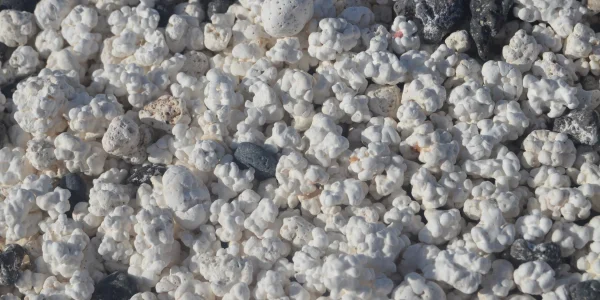 Orilla volcánica de la Playa de Las Palomitas con formaciones naturales en Fuerteventura