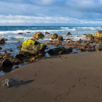 Playa de La Puntilla en Valle Gran Rey con arena volcánica y palmeras