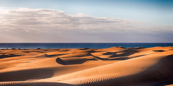 Dunas de Maspalomas en Gran Canaria con paisaje desértico y mar al fondo