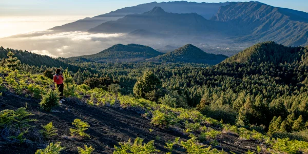 Vista panorámica de La Palma con montañas, bosques y cielos claros
