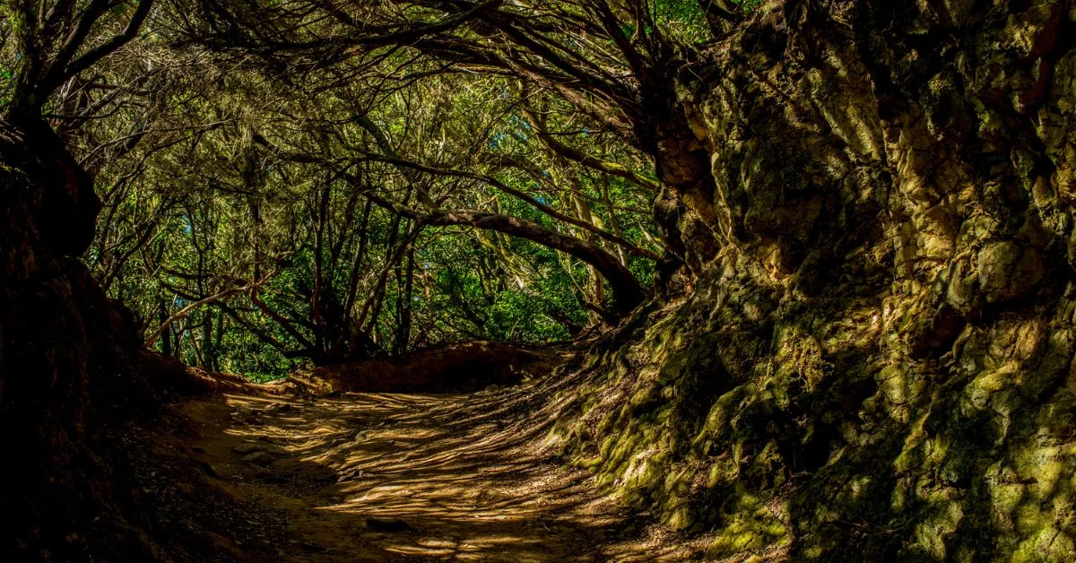 Senderos y playa en el Parque Rural de Anaga, Tenerife