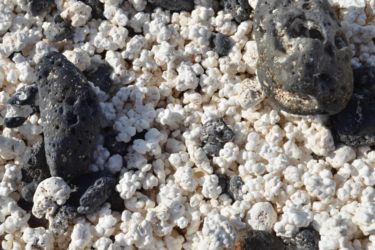 playa de las palomitas