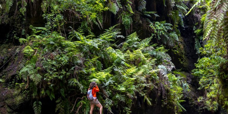 que hacer en gran canaria en diciembre