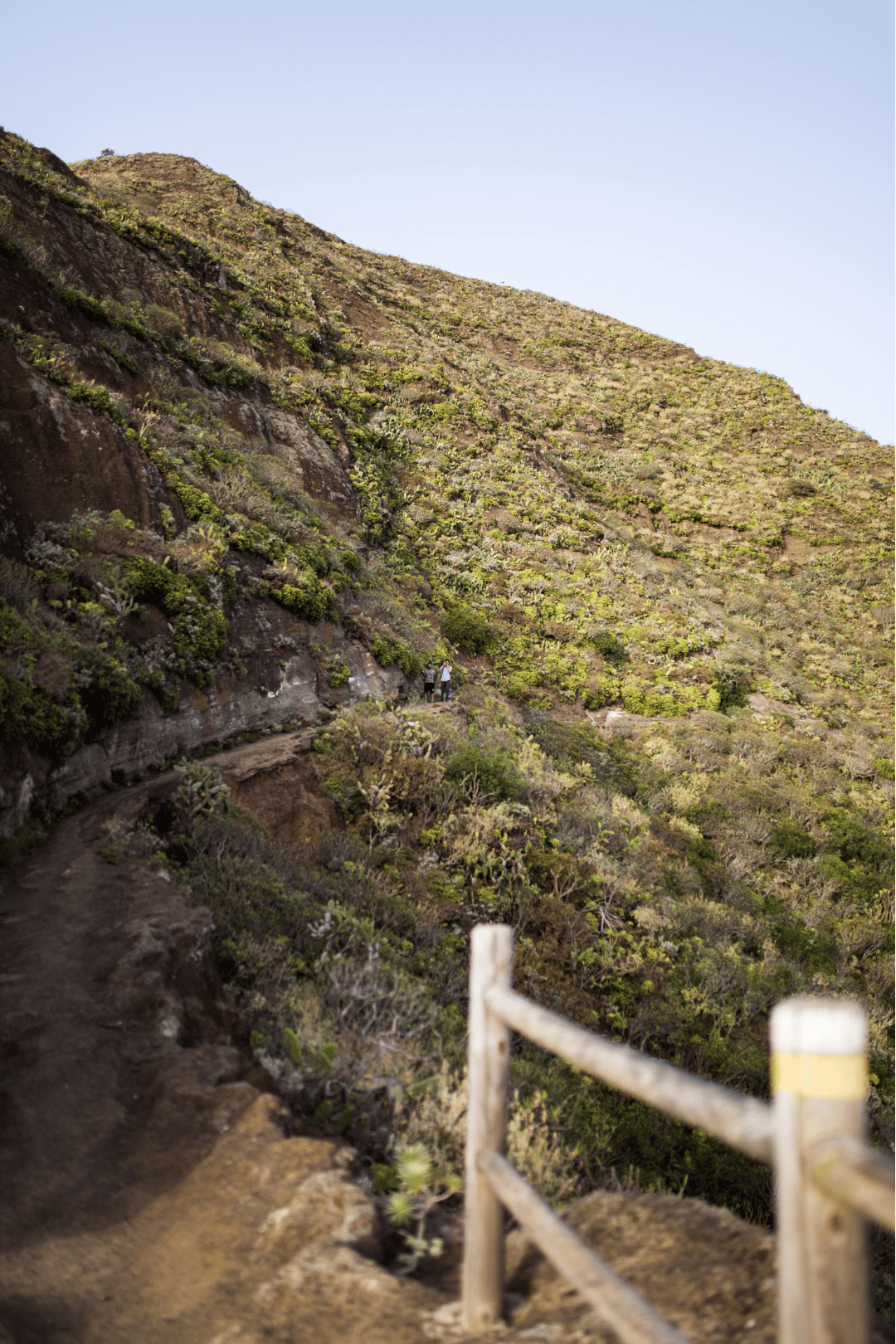 Sendero de Chinamada en los Montes de Anaga, Tenerife