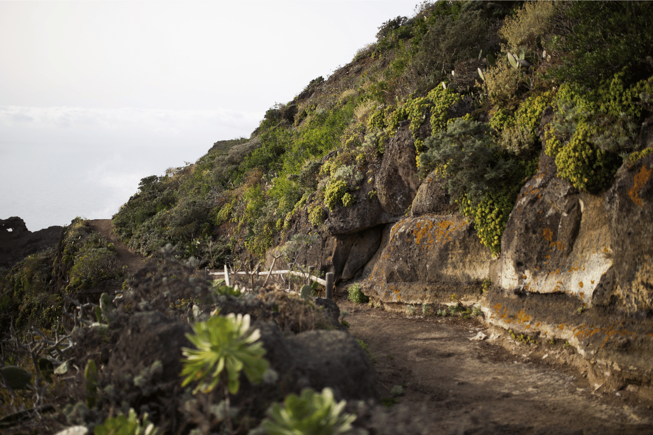 Ruta de senderismo de Chinamada en los Montes de Anaga
