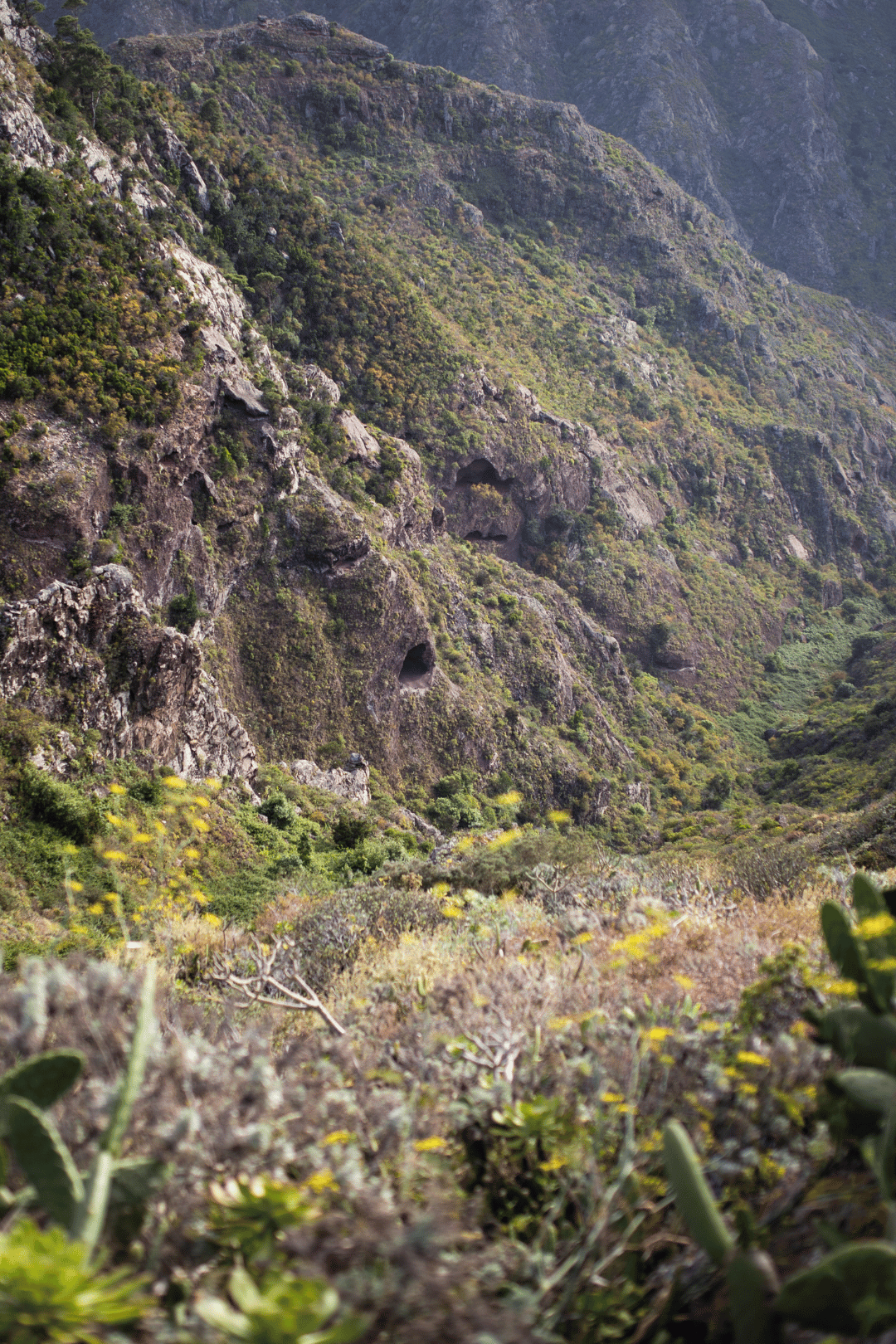 Montes de Anaga y sendero tradicional de Chinamada