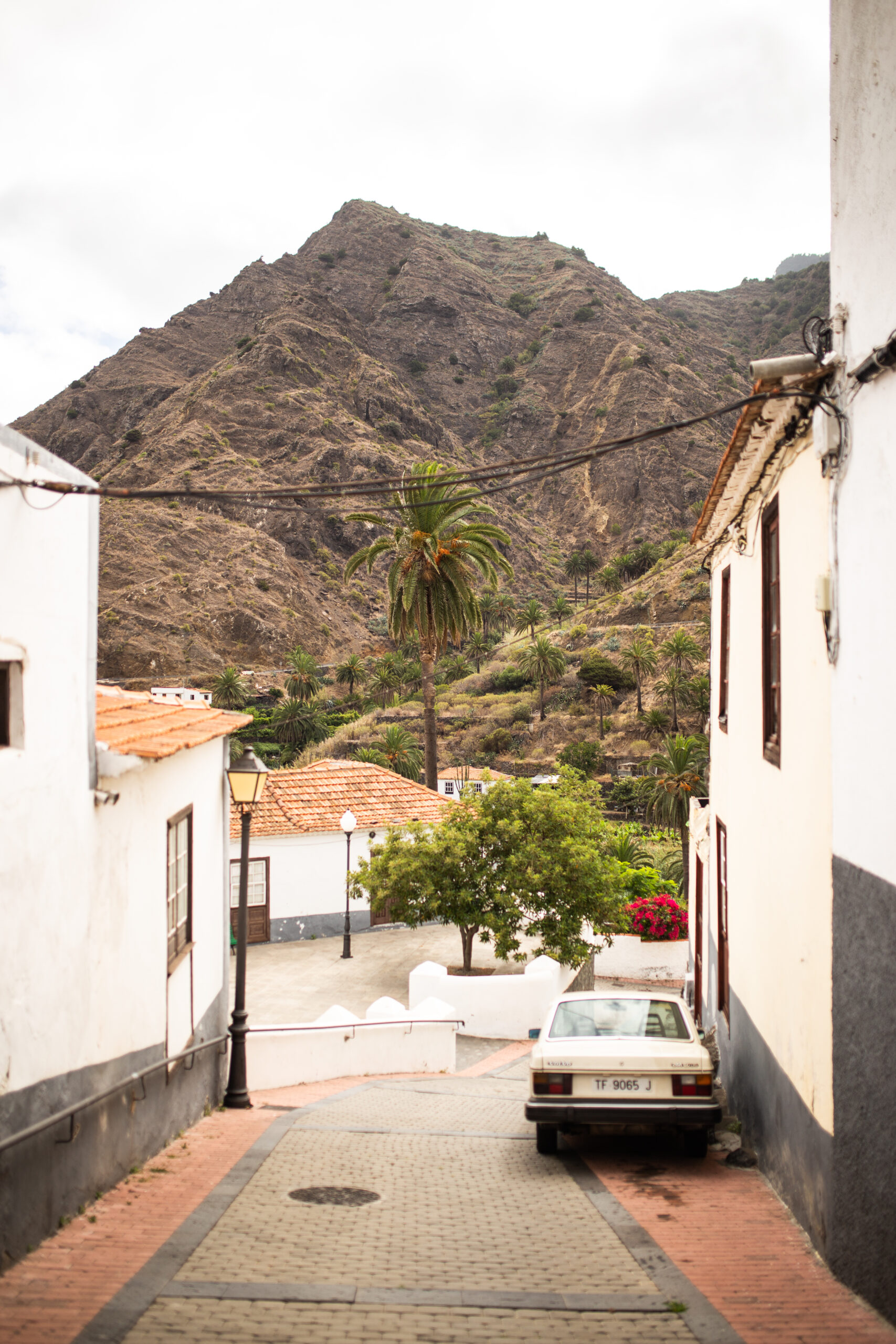 Caminos del norte gomero: de Agulo a Vallehermoso
