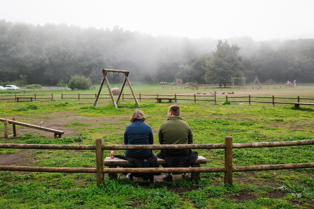 Sendero circular corto en Laguna Grande, rodeado de árboles y vegetación densa de laurisilva húmeda, con ambiente brumoso.