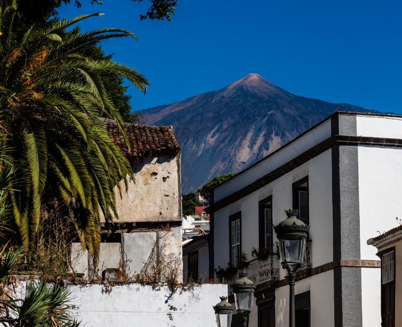 Vista del volcán Teide desde Icod de los Vinos, Tenerife, con viñedos, plataneras y el Drago Milenario en primer plano.