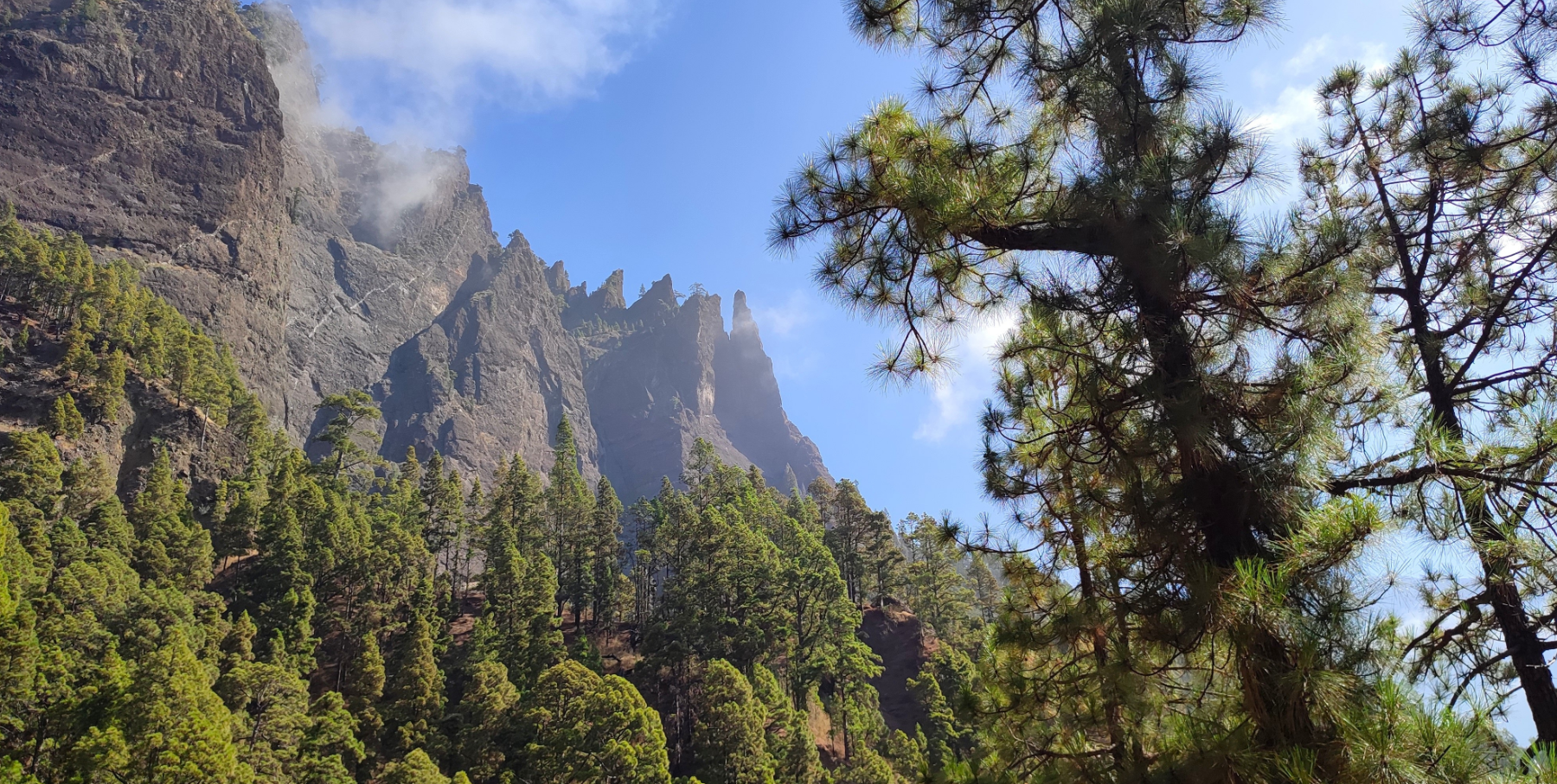 Paisaje panorámico de La Palma mostrando volcanes, bosques verdes y pueblos canarios, ideal para un itinerario de 7 días.