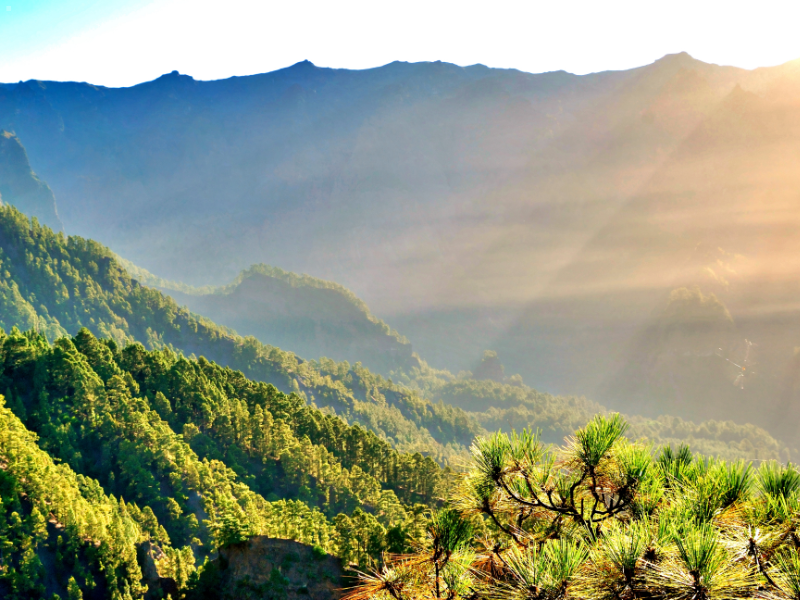 Un cráter volcánico de enormes proporciones rodeado de naturaleza virgen.