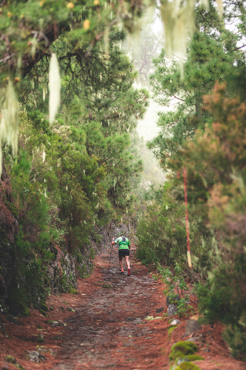 Participante de El Reventón con bastones en medio de una ruta entre los bosques de La Palma