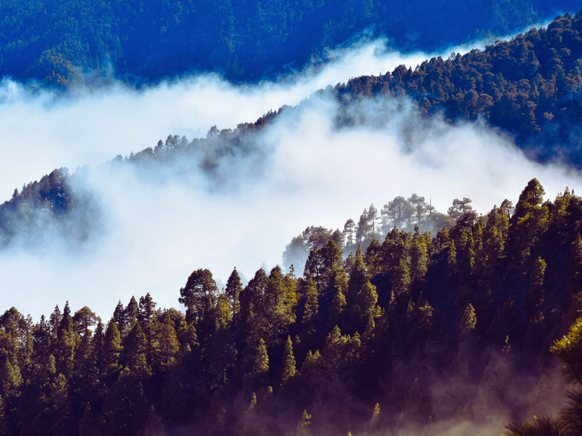Cascada de nubes en la isla de La Palma