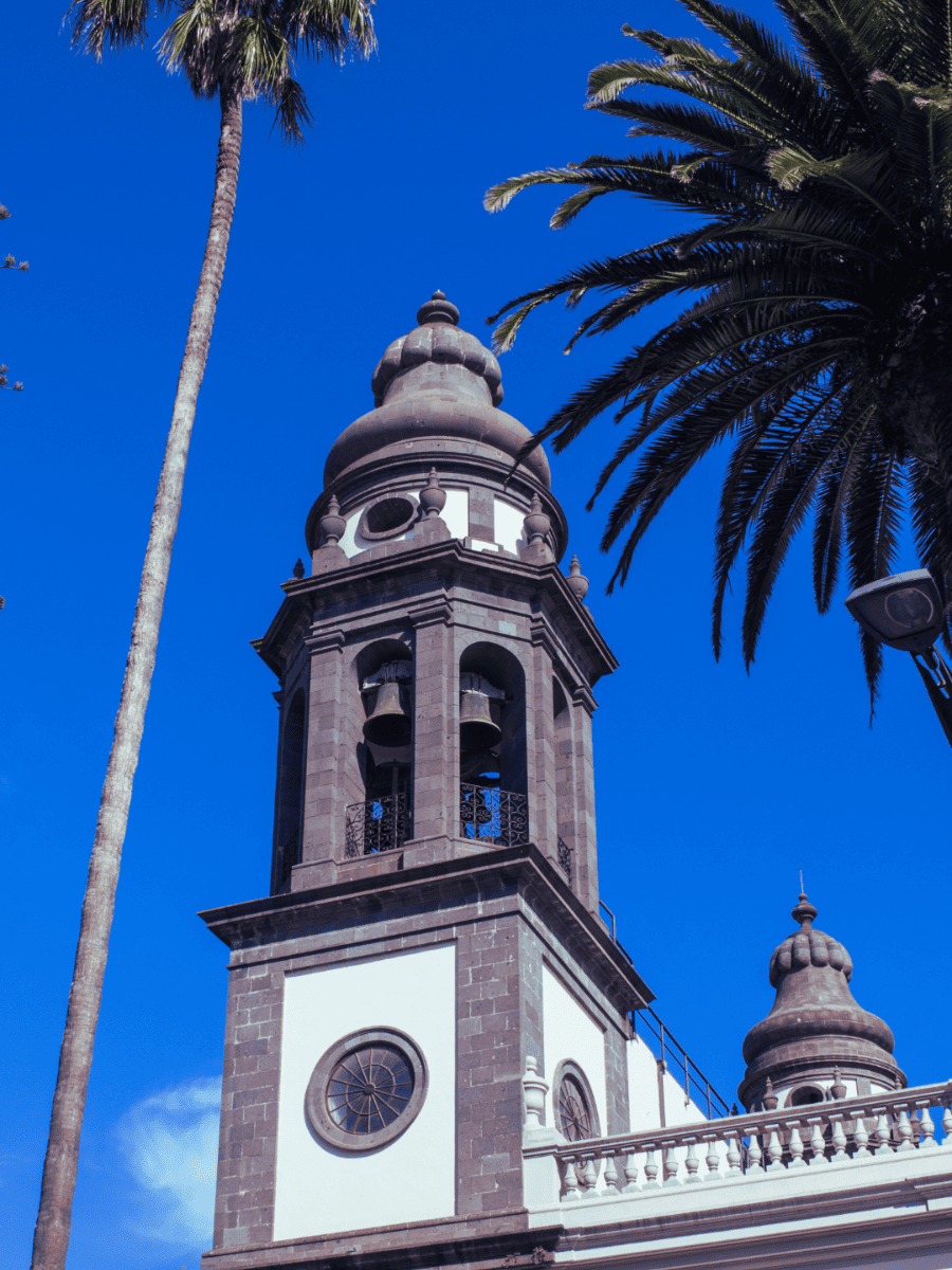 Torre de la Catedral de La Laguna con palmeras