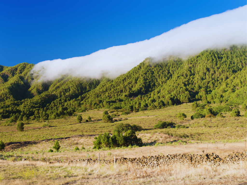 Efecto Föehn en la isla de la Palma, con las nubes cayendo sobre montañas verdes