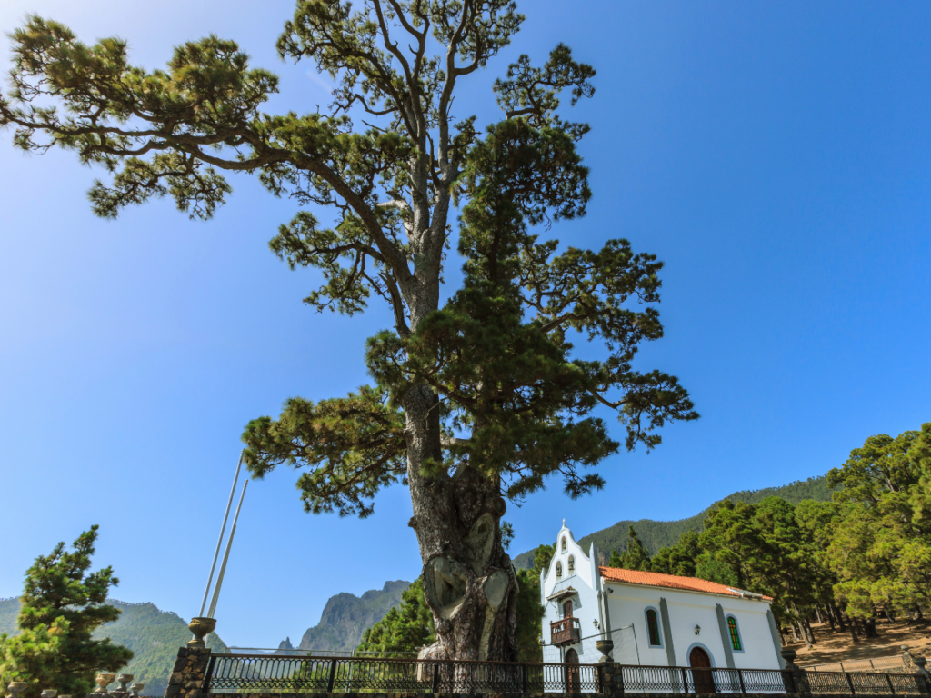 Ermita de la Vírgen del Pino en El Paso, La Palma