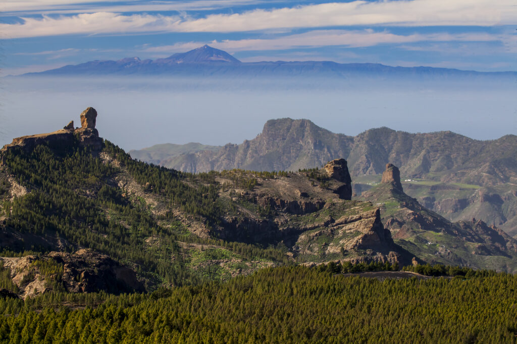 Vista del Mirador del Pico de los pozos de las Nieves con el Roque Nublo y el Teide de fondo