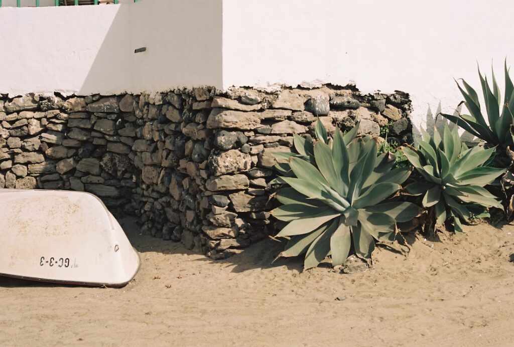 Rincón de la Caleta de Famara, con barco pesquero y vegetación costera
