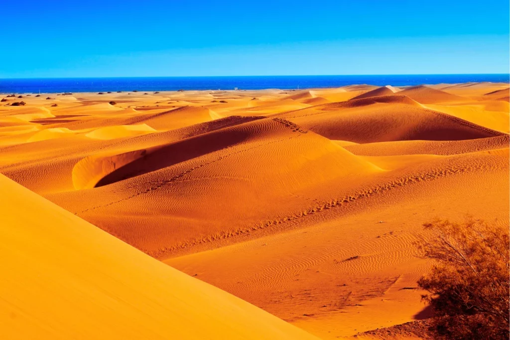 Paisaje de las dunas de Maspalomas en el sur de Gran Canaria