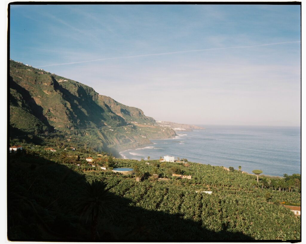 Costa canaria con plantaciones de plataneras