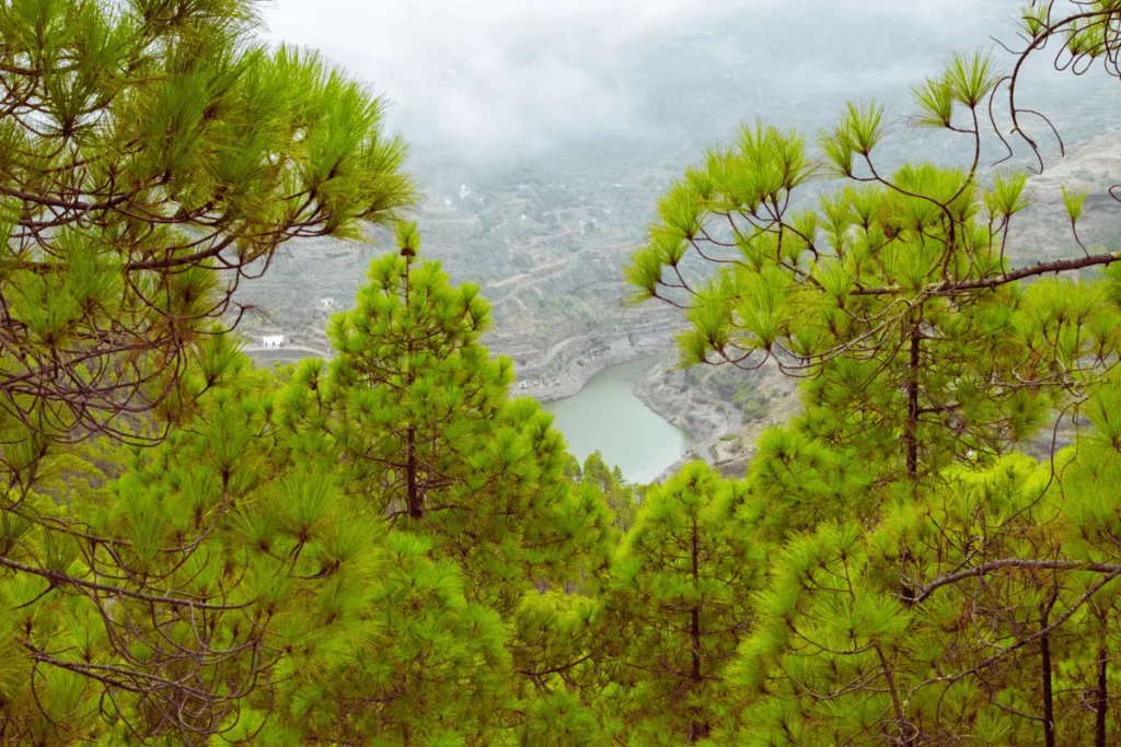 Vistas desde el Parque Natural de Tamadaba