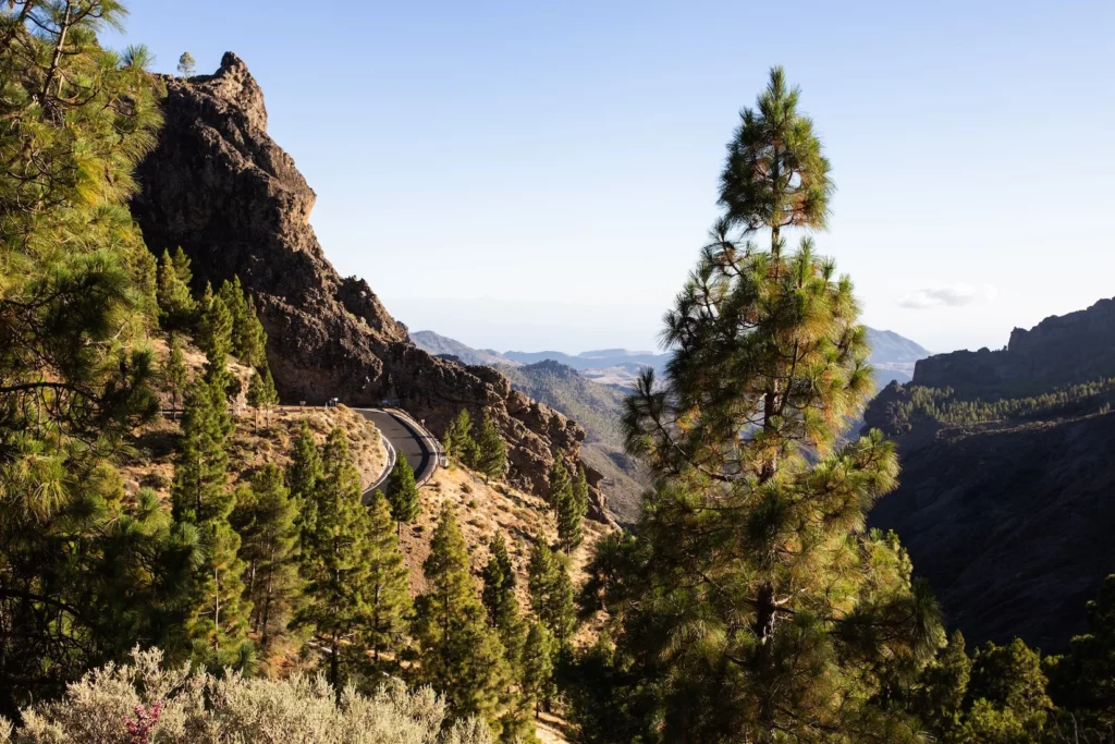 Carretera hacia el Roque Nublo