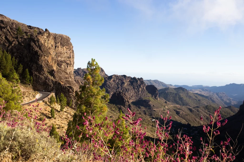 Vistas de Gran Canaria