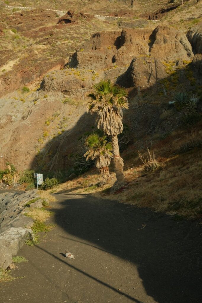 carretera en dirección a la playa de Las Gaviotas
