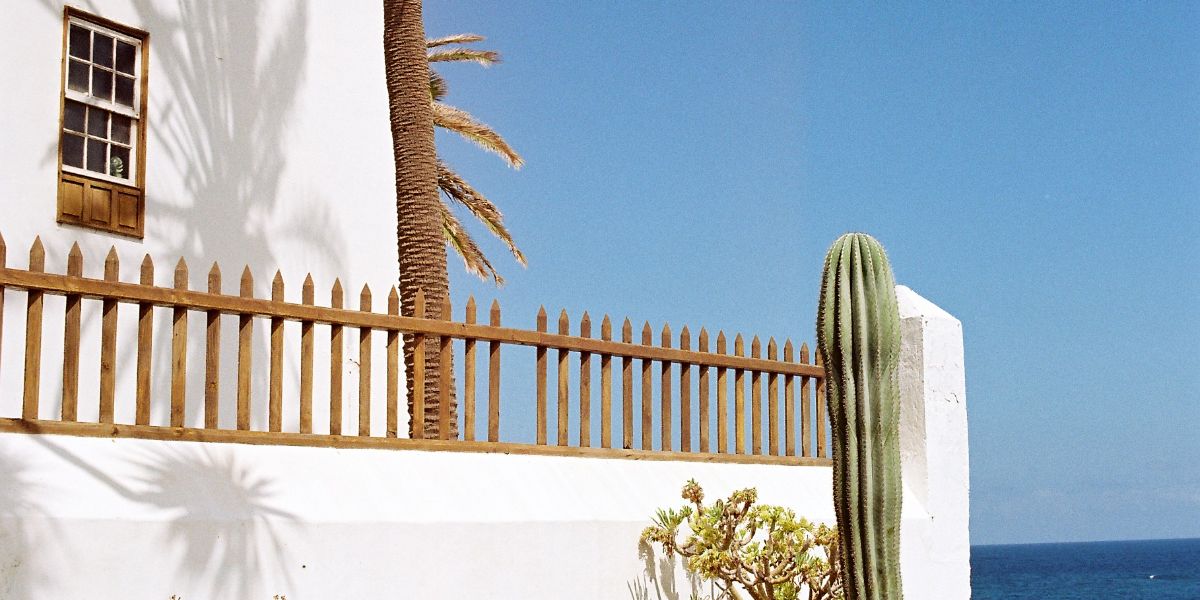 Cactus, palmeta y fachada en el Puerto de la Cruz